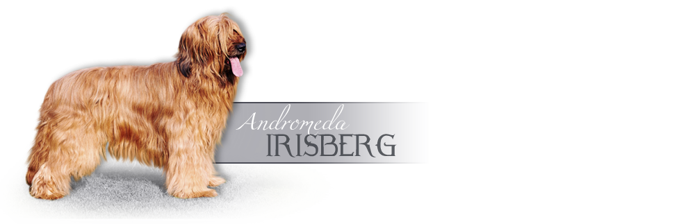 Briard Andromeda Irisberg